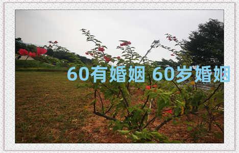 60有婚姻 60岁婚姻